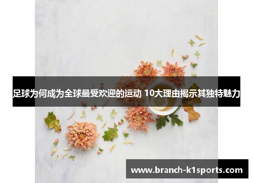 足球为何成为全球最受欢迎的运动 10大理由揭示其独特魅力