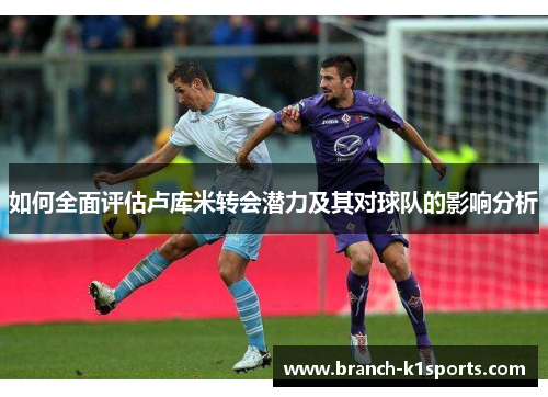 如何全面评估卢库米转会潜力及其对球队的影响分析