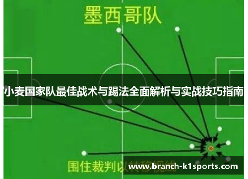 小麦国家队最佳战术与踢法全面解析与实战技巧指南