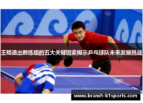王皓退出教练组的五大关键因素揭示乒乓球队未来发展挑战